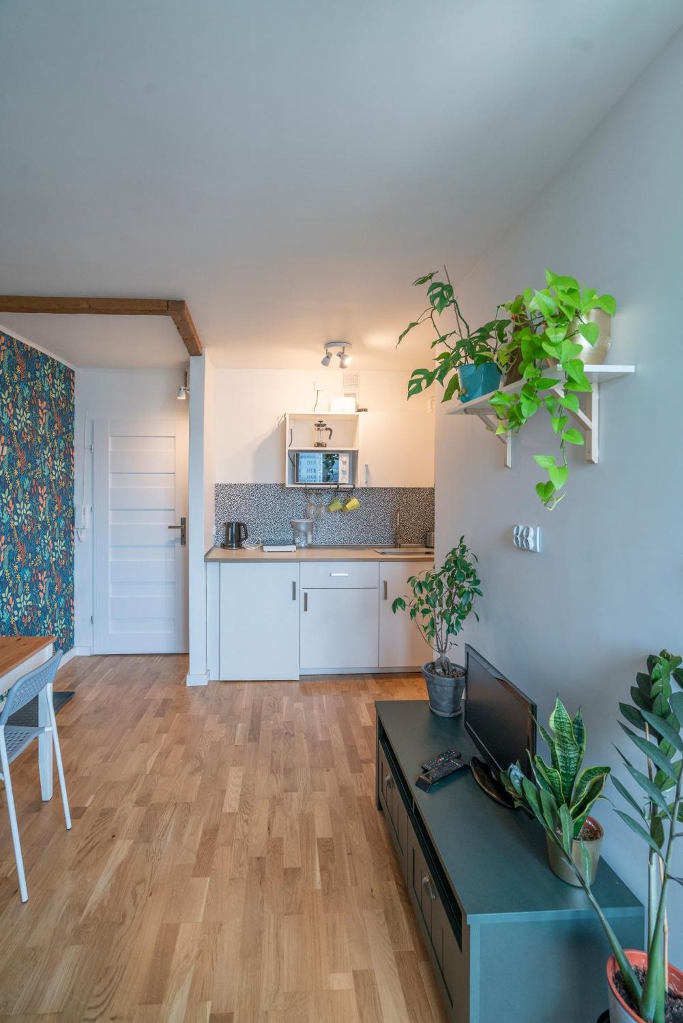 Green Studio In The City Center Of Wrocław Extérieur photo
